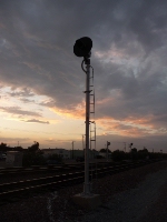 Standing Tall Under The Sunset